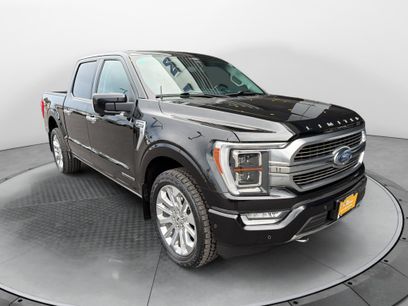 Certified 2023 Ford F150 Limited