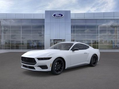 New 2026 Ford Mustang Coupe w/ Mustang Nite Pony Package