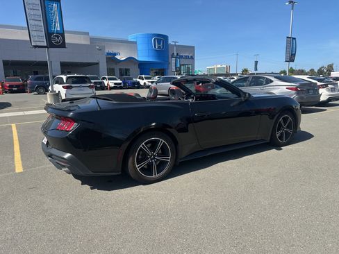 Used 2024 Ford Mustang Premium image 3