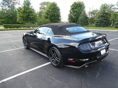 Used 2019 Ford Mustang Premium RWD image 7