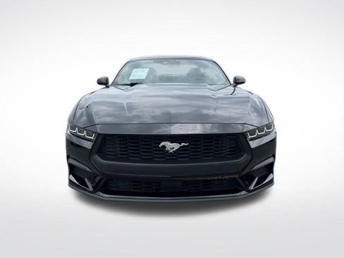 Used 2024 Ford Mustang Coupe RWD image 2