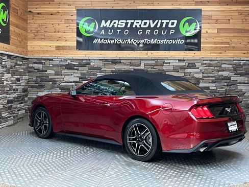 Used 2019 Ford Mustang Convertible w/ Equipment Group 101A RWD image 15