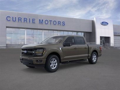 New 2026 Ford F150 XLT w/ Equipment Group 302A MID