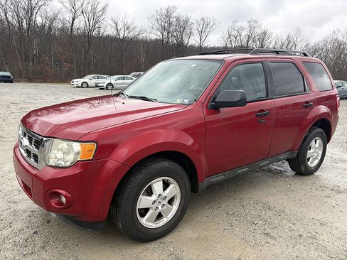 Used 2010 Ford Escape XLT image 3