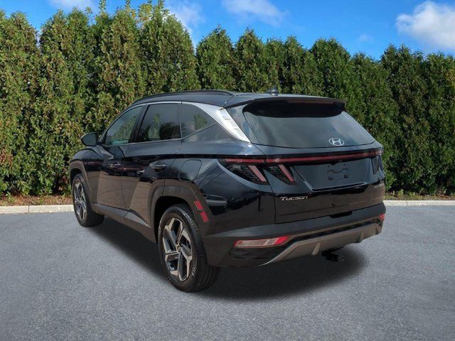 Used 2024 Hyundai Tucson Limited AWD/4WD image 6