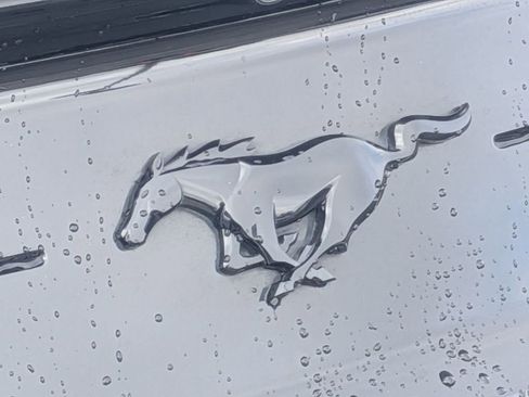 Used 2019 Ford Mustang Premium w/ Equipment Group 201A RWD image 11