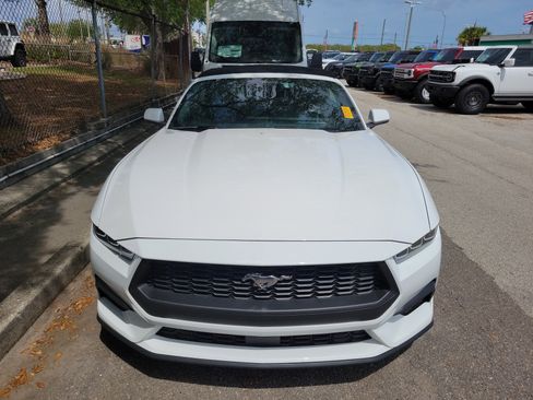 Used 2024 Ford Mustang Premium image 2