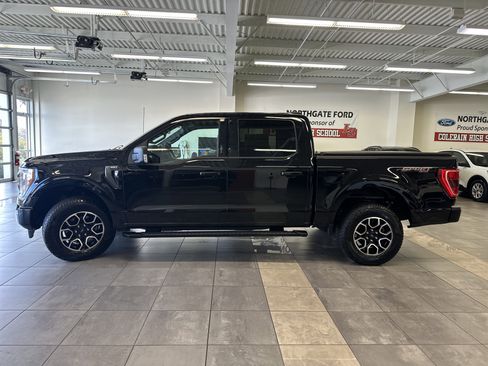 Certified 2023 Ford F150 XLT w/ Equipment Group 302A High image 18