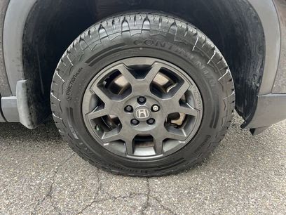 Used 2023 Honda Pilot TrailSport