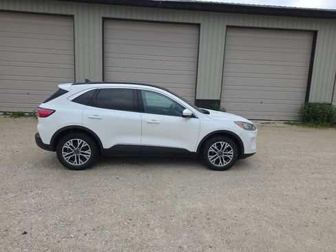 Used 2020 Ford Escape SEL AWD/4WD image 4