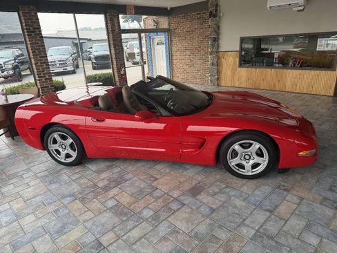 Used 1999 Chevrolet Corvette Convertible RWD image 4