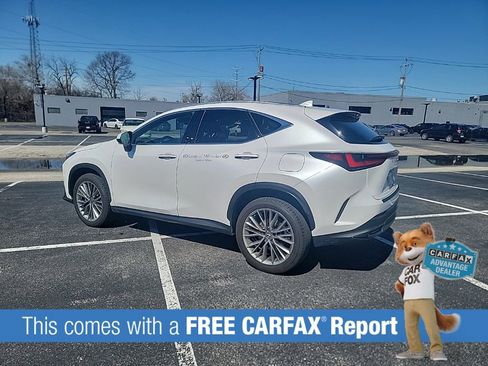 Used 2025 Lexus NX 350h AWD w/ Accessory Package (2T) image 3