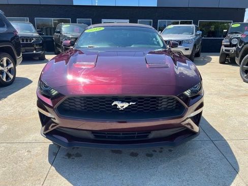 Used 2018 Ford Mustang Premium w/ Equipment Group 201A RWD image 2