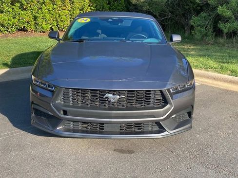 Used 2024 Ford Mustang Coupe RWD image 2