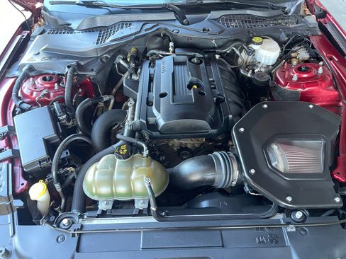 Used 2019 Ford Mustang Coupe w/ Equipment Group 101A RWD image 22