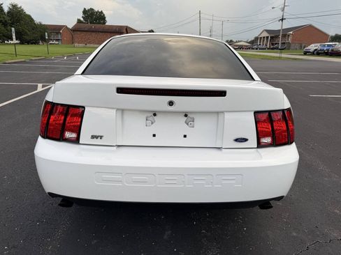 Used 2003 Ford Mustang Cobra RWD image 7