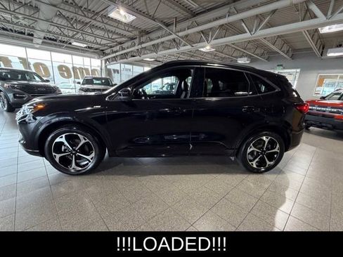 Used 2023 Ford Escape ST-Line Select w/ Tech Pack #2 AWD/4WD image 5