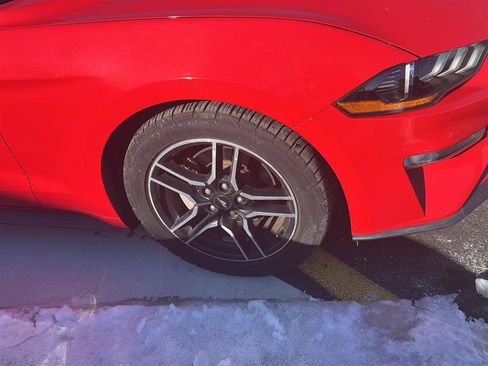 Used 2018 Ford Mustang Premium w/ Equipment Group 201A image 7