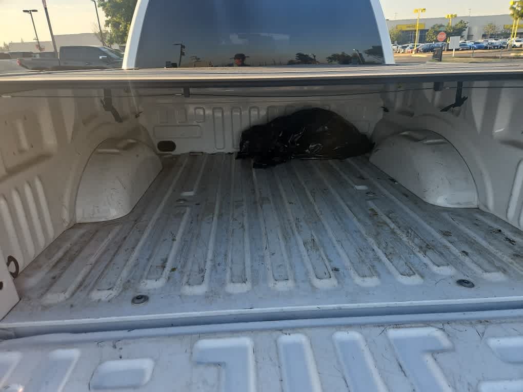 Certified 2023 Ford F150 XL w/ STX Appearance Package RWD image 8