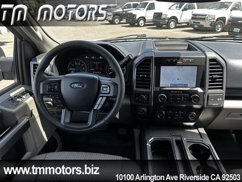 Used 2019 Ford F150 XLT w/ Equipment Group 302A Luxury AWD/4WD image 13