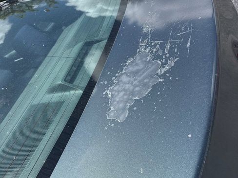 Used 2019 Toyota Corolla LE image 3