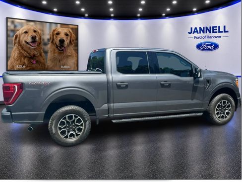 Used 2023 Ford F150 XLT w/ Equipment Group 302A High AWD/4WD image 6
