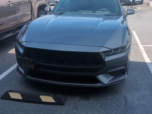 Used 2025 Ford Mustang Coupe image 1