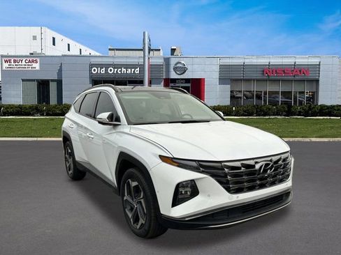 Used 2023 Hyundai Tucson Limited image 3