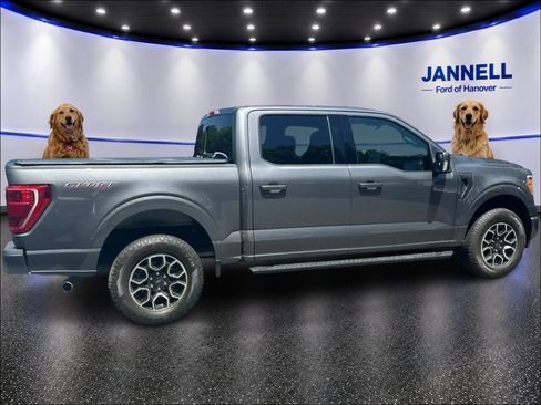 Used 2023 Ford F150 XLT w/ Equipment Group 302A High AWD/4WD image 6