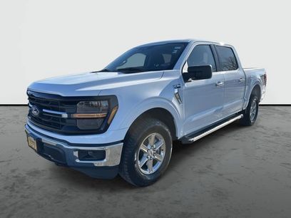 Used 2025 Ford F150 XLT w/ Equipment Group 301A Standard