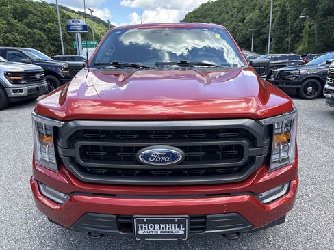 Used 2023 Ford F150 XLT w/ Equipment Group 302A High AWD/4WD image 9