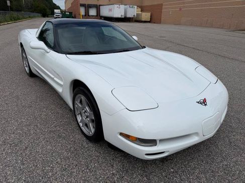 Used 1998 Chevrolet Corvette Coupe RWD image 3