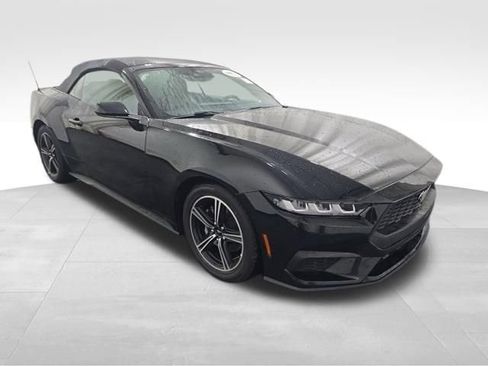 Used 2024 Ford Mustang Premium RWD image 2