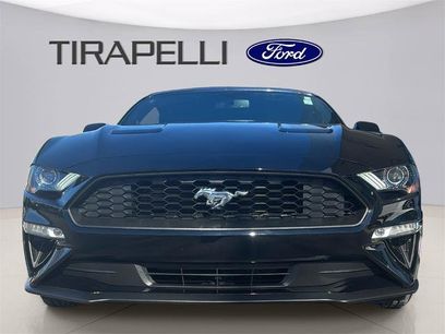 Certified 2019 Ford Mustang Premium