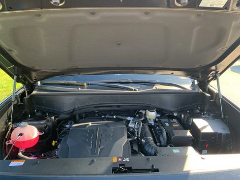 New 2026 Hyundai Palisade Calligraphy image 18