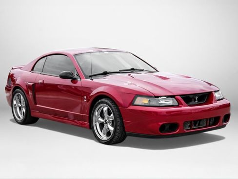 Used 2004 Ford Mustang Cobra RWD image 4