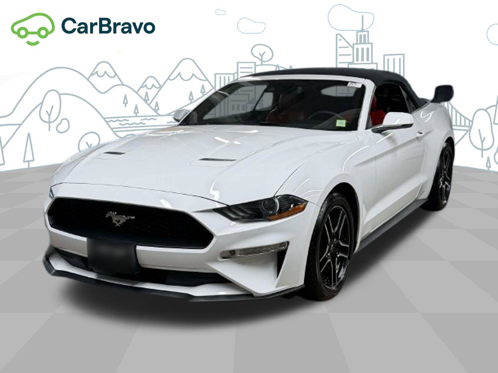 Used 2019 Ford Mustang Premium w/ Equipment Group 201A RWD image 1
