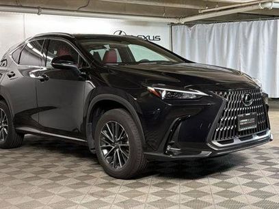 Certified 2024 Lexus NX 350h AWD w/ Cold Area Package