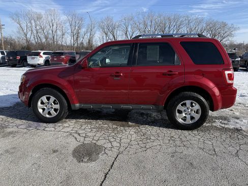 Used 2011 Ford Escape Limited w/ 302A Rapid Spec Order Code image 6