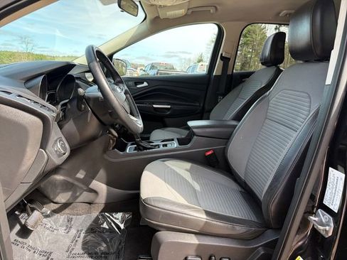 Used 2019 Ford Escape SE AWD/4WD image 10