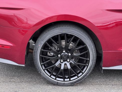 Used 2019 Ford Mustang Premium w/ Equipment Group 201A image 35