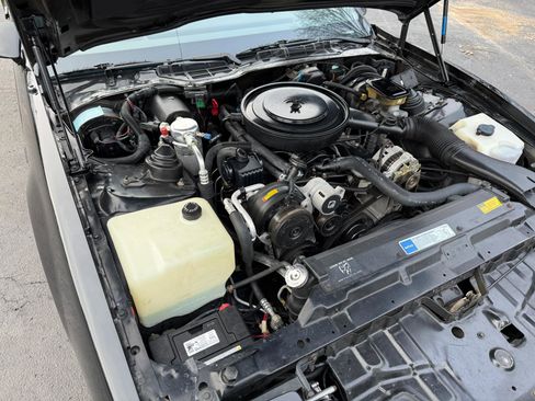 Used 1991 Pontiac Firebird Convertible image 32