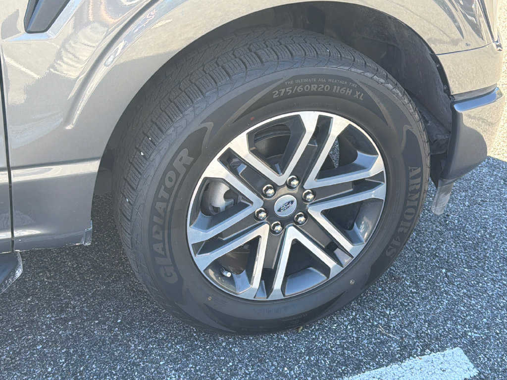 Used 2023 Ford F150 XL w/ STX Appearance Package RWD image 8