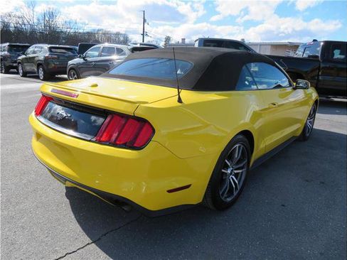 Used 2015 Ford Mustang Premium image 16