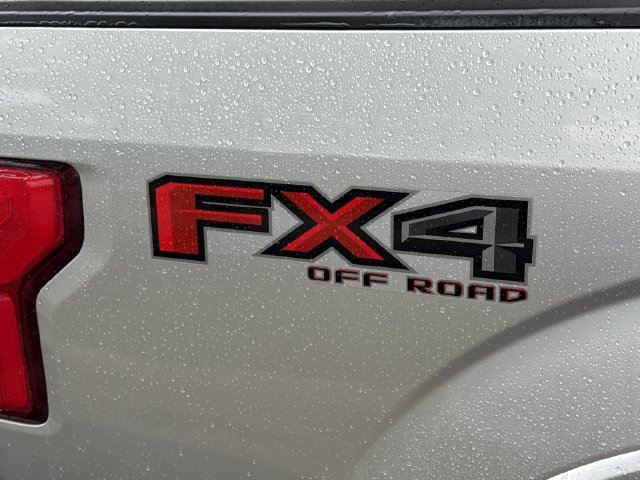 Used 2019 Ford F150 Platinum w/ Equipment Group 701A Luxury AWD/4WD image 6