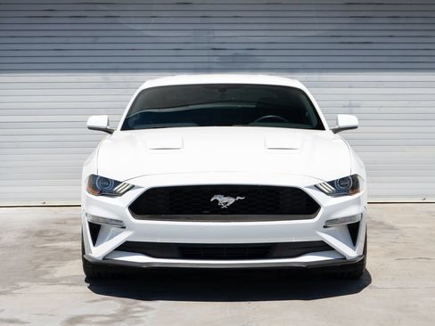 Used 2019 Ford Mustang Coupe w/ Ecoboost Performance Package RWD image 2