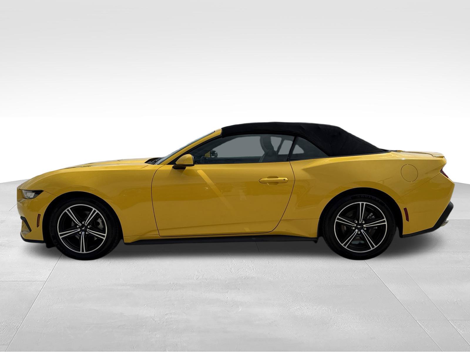 Used 2024 Ford Mustang Premium RWD image 8