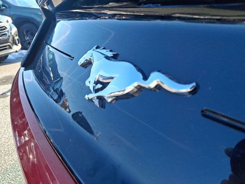 Used 2019 Ford Mustang Premium w/ Equipment Group 201A image 28