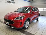 Used 2020 Ford Escape SE image 2