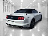 Used 2015 Ford Mustang Premium w/ Equipment Group 201A image 3